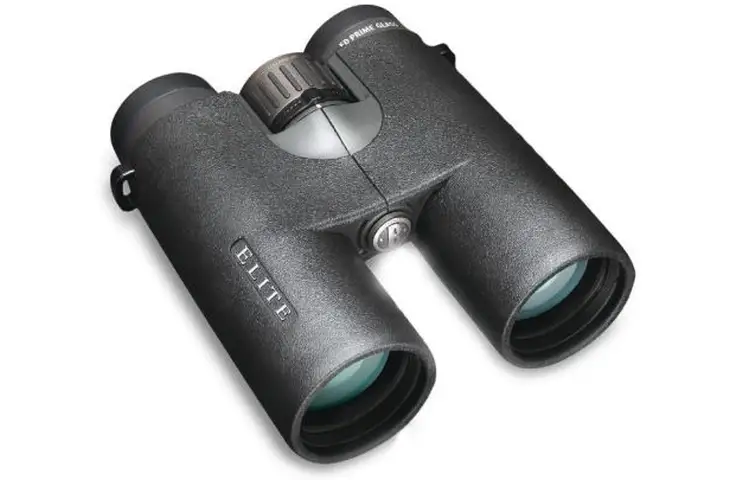 Bushnell 10x42 mm Elite E2 Binoculars with ED Glass - view 2